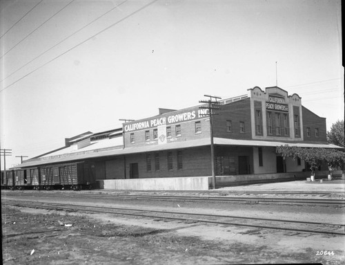 California Peach & Fig Growers packing plant in Selma, California