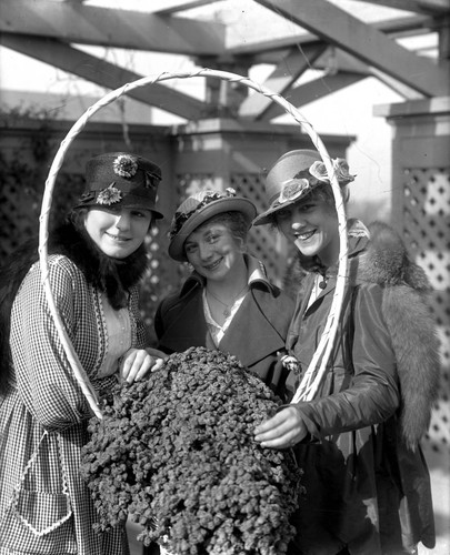 Three SunMaid Women With Raisins In Arbor