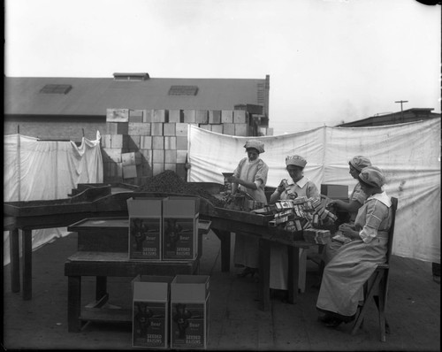 Packing Raisins By Hand