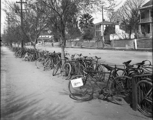 Jackson's Cyclery Large goup of parked bikes