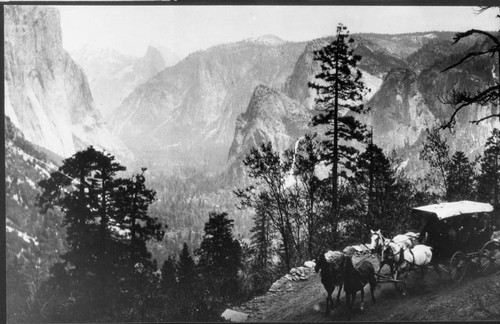 Horse and Buggy Overlooking Yosemite Valley