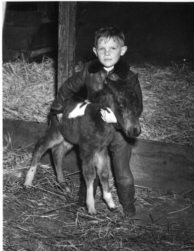 Gary Ball With New Colt-Ball Ranch