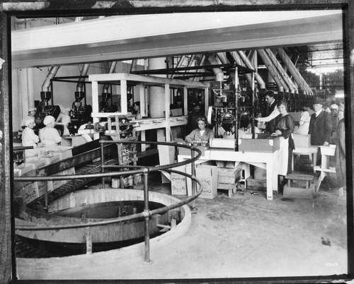 Females Working at a Packing Plant