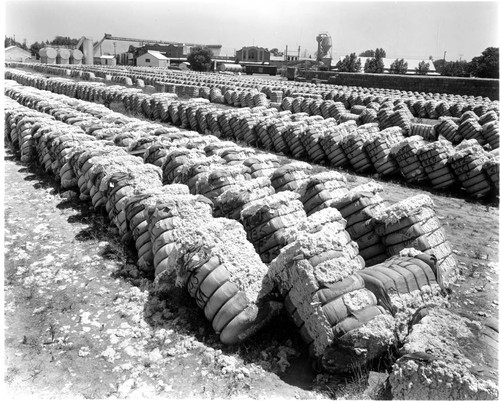 Rows of Cotton Bales at the Gin