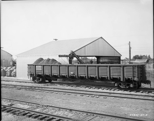 Loading Almonds into Railroad Car