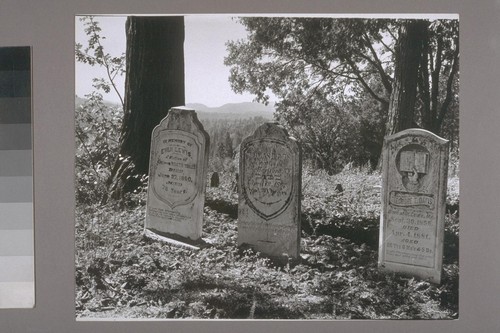 Graves near Camptonville. 1940