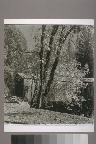 Covered Bridge. Oregon Creek. 1954