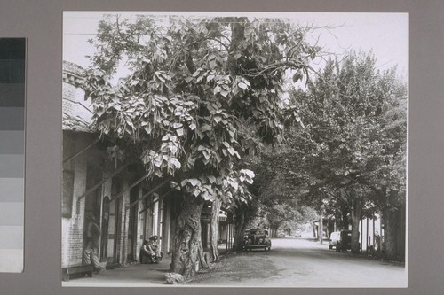 [Street scene.] Columbia. 1945