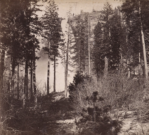 1637. Nevada Fall, 700 Feet High--Near View