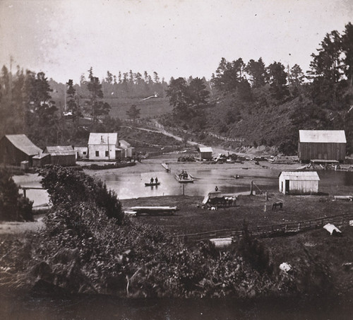 1171. Noyo River and Ferry, looking South, Mendocino County