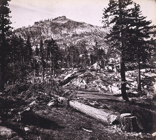 786. Donner Peak, from the Road below, Placer Co