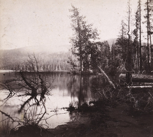 1281. Southern shore Donner Lake--Evening View