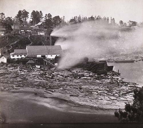 1173. Noyo Lumber Mills, looking North, Mendocino County