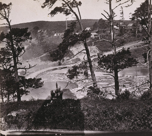 1193. Little River, and County Road, looking North, Mendocino County