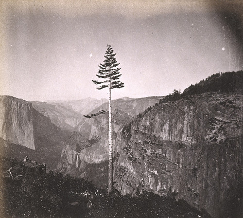 1101. The Yo-Semite Valley, from the Mariposa Trail, Mariposa County