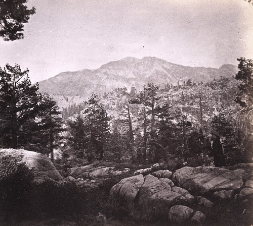 916. Silver Mountain Peak; altitude 11,000 feet; Alpine County