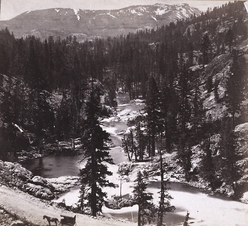 1272. South Yuba River and Canon. From the Central Pacific Railroad