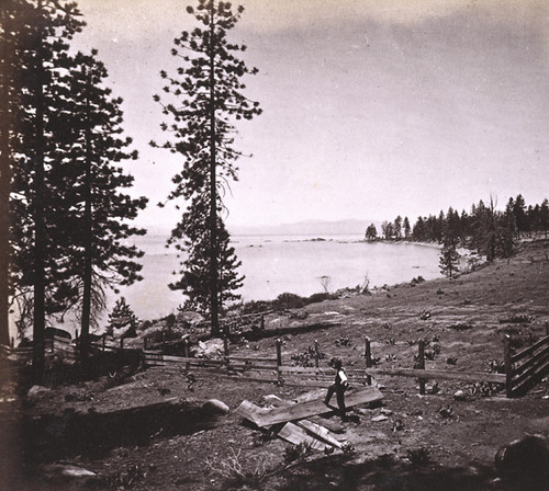 689. Lake Tahoe. View from the Logan House--Eastern shore, looking North