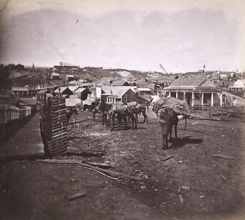 826. Scene in Dutch Flat, Placer County. The Pack Train