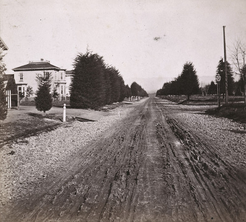 1435. Jackson Street, looking North, Oakland, Alameda Co