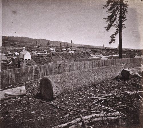 824. Dutch Flat, Placer County, from the South