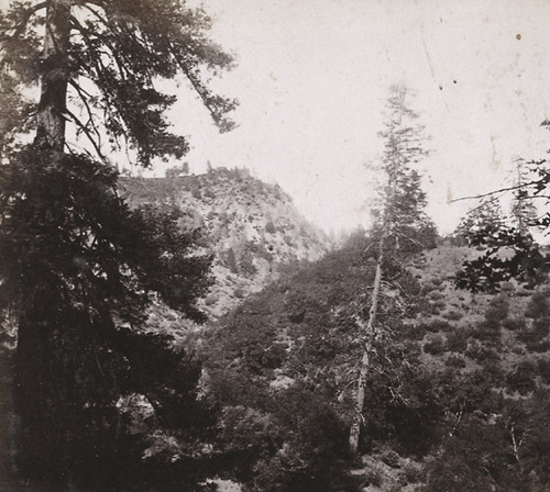 1241. Cape Horn from the Iowa Hill Trail, Central Pacific Railroad