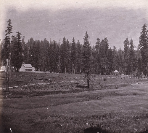 913. General view of the Mammoth Grove and Hotel, Calaveras county