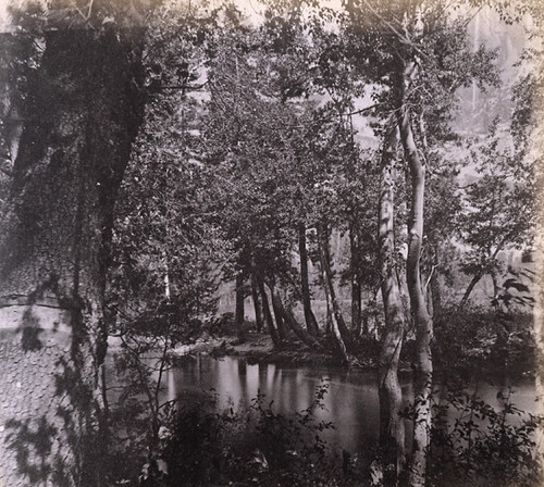 1122. View on the Merced River, near the Bridge, Yo-Semite Valley, Mariposa County