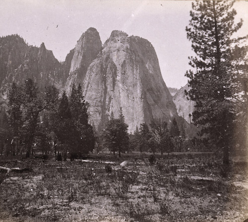 1104. The Cathedreal Rocks, 3,000 feet high, Yo-Semite Valley, Mariposa County