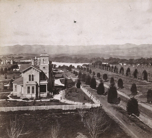 1431. Jackson Street from Dr. Merritt's grounds, looking North, Oakland, Alameda County