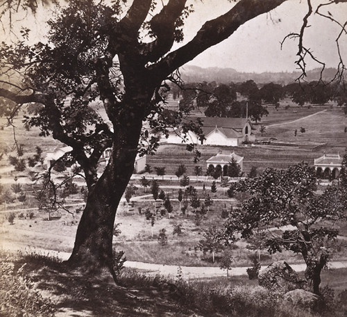 1797. View up the Valley, from Mount Lincoln