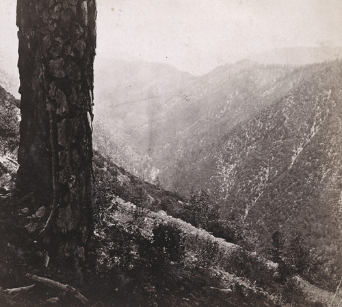 1228. American Canon, from the Central Pacific Railroad, 4 miles above Alta