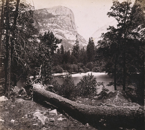 1117. Mirror Lake. Yo-Semite Valley, Mariposa Co