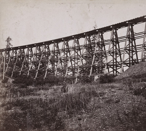 1237. Section of the Long Ravine Trestle Bridge, from below, 120 feet high, Central Pacific Railroad