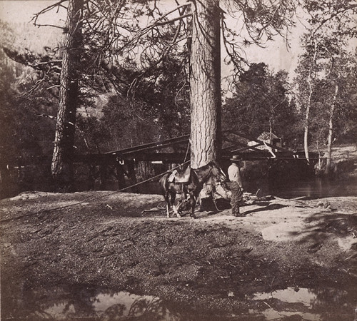 1667. Coulters' Bridge, Merced River, Yo-Semite Valley