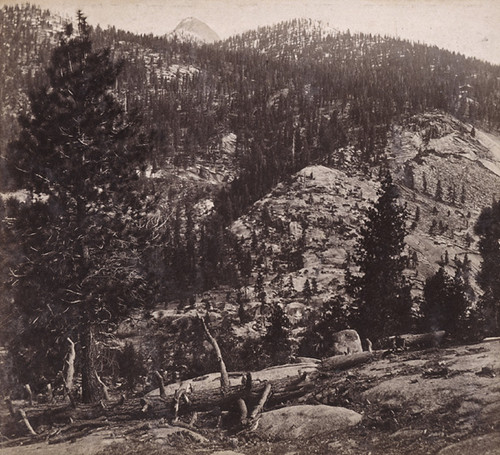 1663. Mount Starr King, 5,600 feet high--from the Cap of Liberty