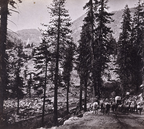 631. Looking Down the Grade at Slippery Ford, El Dorado County