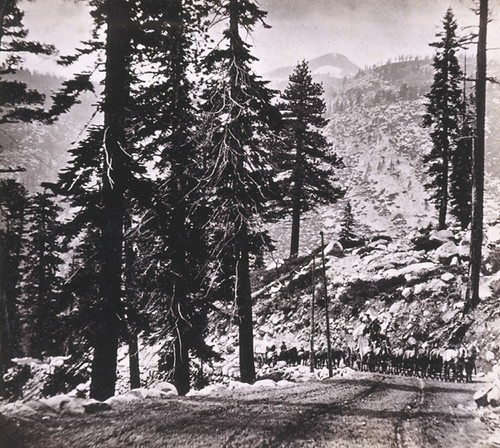 632. Pyramid Peak, from the top of the Grade At Slippery Ford, El Dorado County