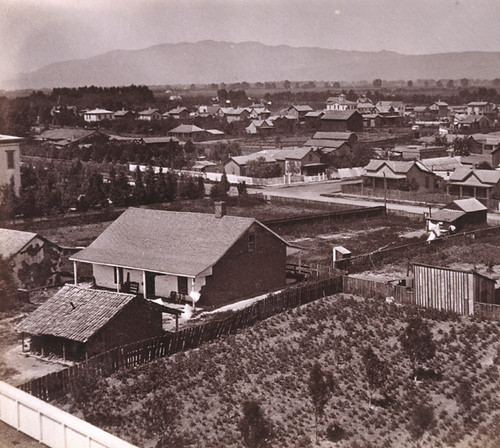 59. San Jose, from Convent Notre Dame, Looking North-east