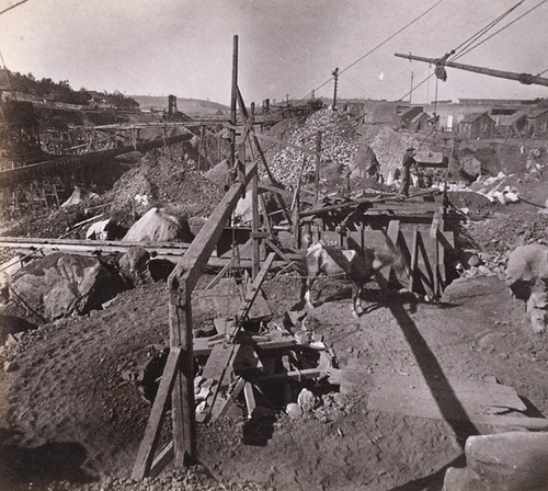 1015. Placer Mining in Columbia Gulch, Tuolumne County. The Whim