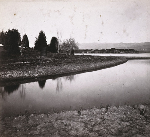 1453. View on Western Shore Lake Merritt, Oakland, Alameda County