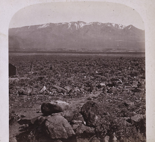 1730. Palmyra Mountain--Carson River, from mouth of Sutro Tunnel