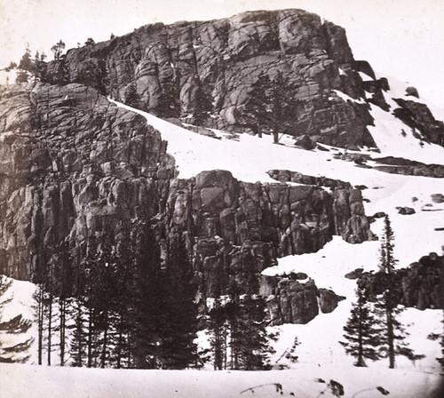 841. View on the Summit. The Palisade Rocks