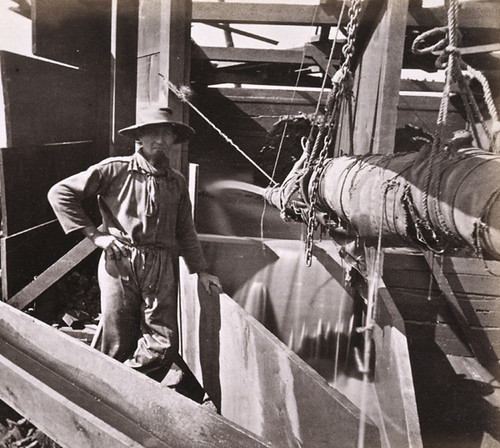 1010. Placer Mining--Columbia, Tuolumne County. Looking into the Dump-box