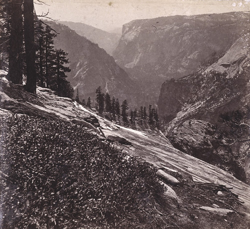 1614. Looking Down the Trail from the South Dome