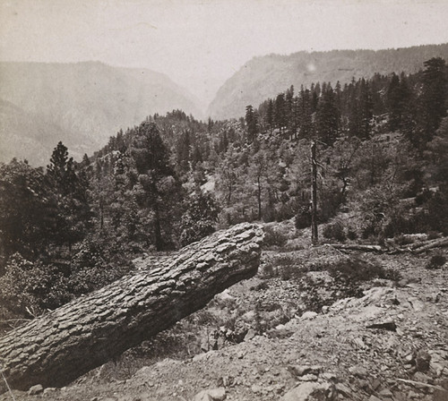 1231. American Canon, from the Central Pacific Railroad, 3 miles above Alta