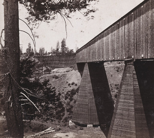 1235. The Trestle Bridge at Long Ravine, 878 feet long, and 120 feet high, Central Pacific Railroad