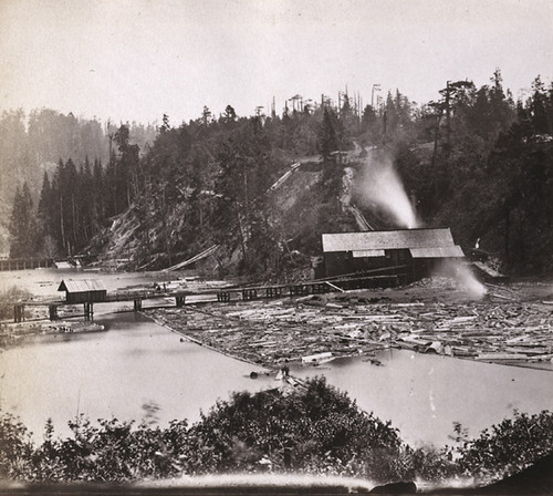 1191. Little River Lumber Mills, looking East, Mendocino County