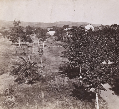 1799. From the Swimming Bath, looking West