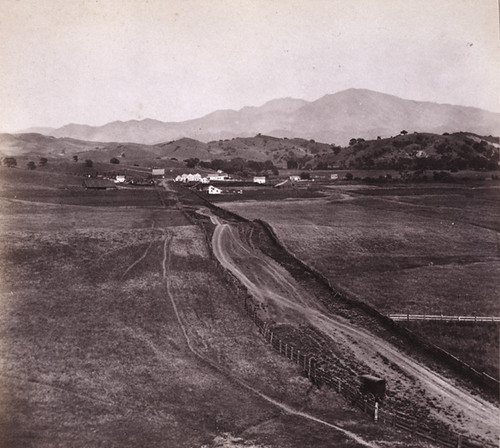 565. Mount Diablo, from Lafayette, Contra Costa Co